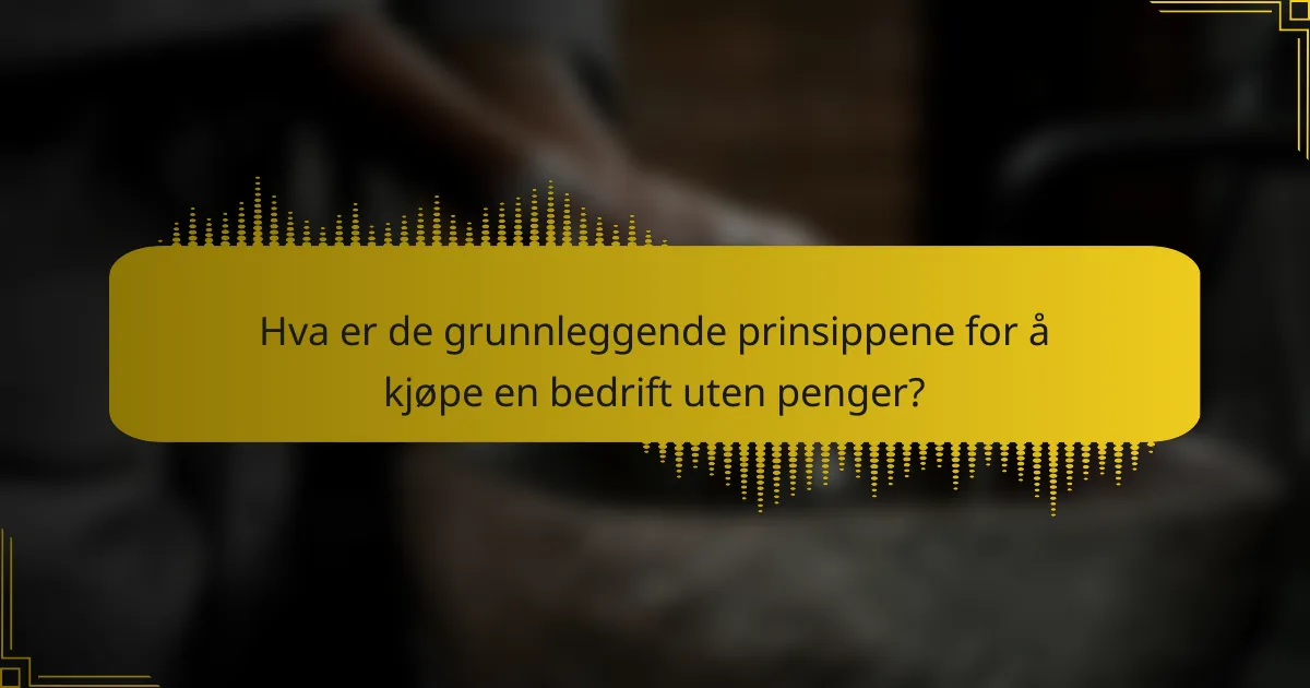 Hva er de grunnleggende prinsippene for å kjøpe en bedrift uten penger?