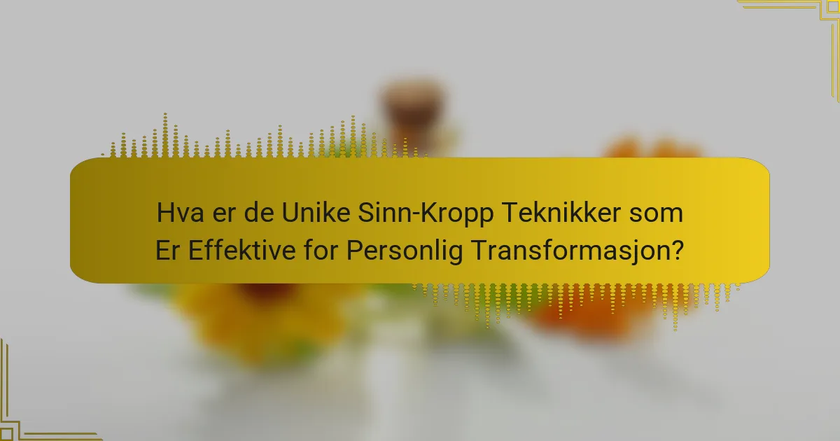 Hva er de Unike Sinn-Kropp Teknikker som Er Effektive for Personlig Transformasjon?