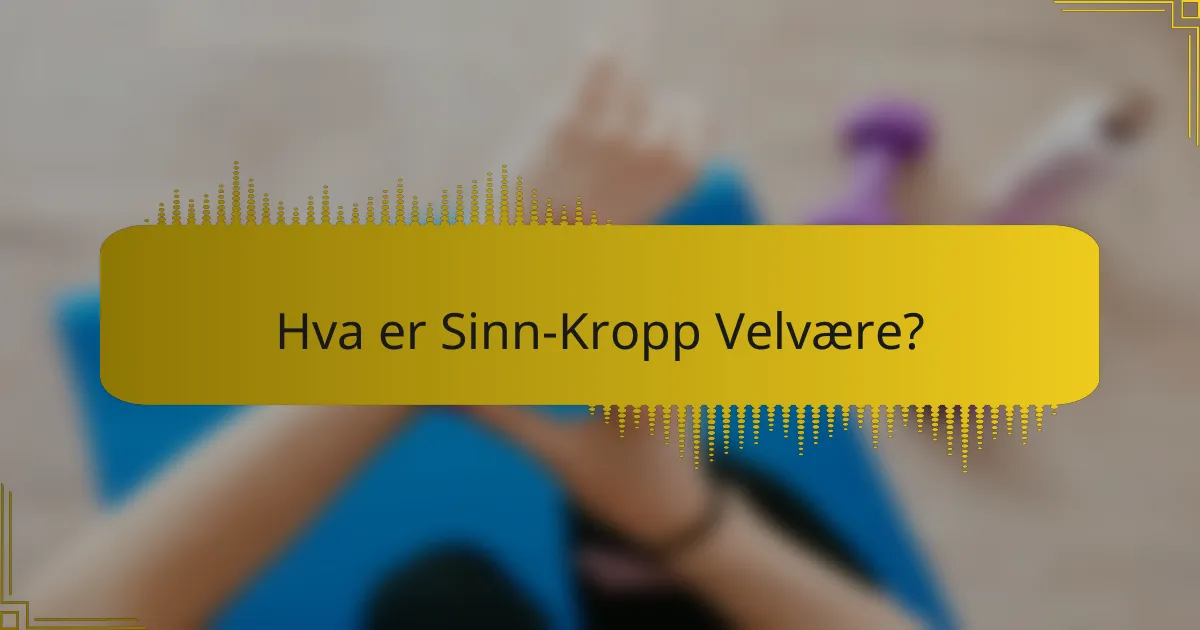 Hva er Sinn-Kropp Velvære?