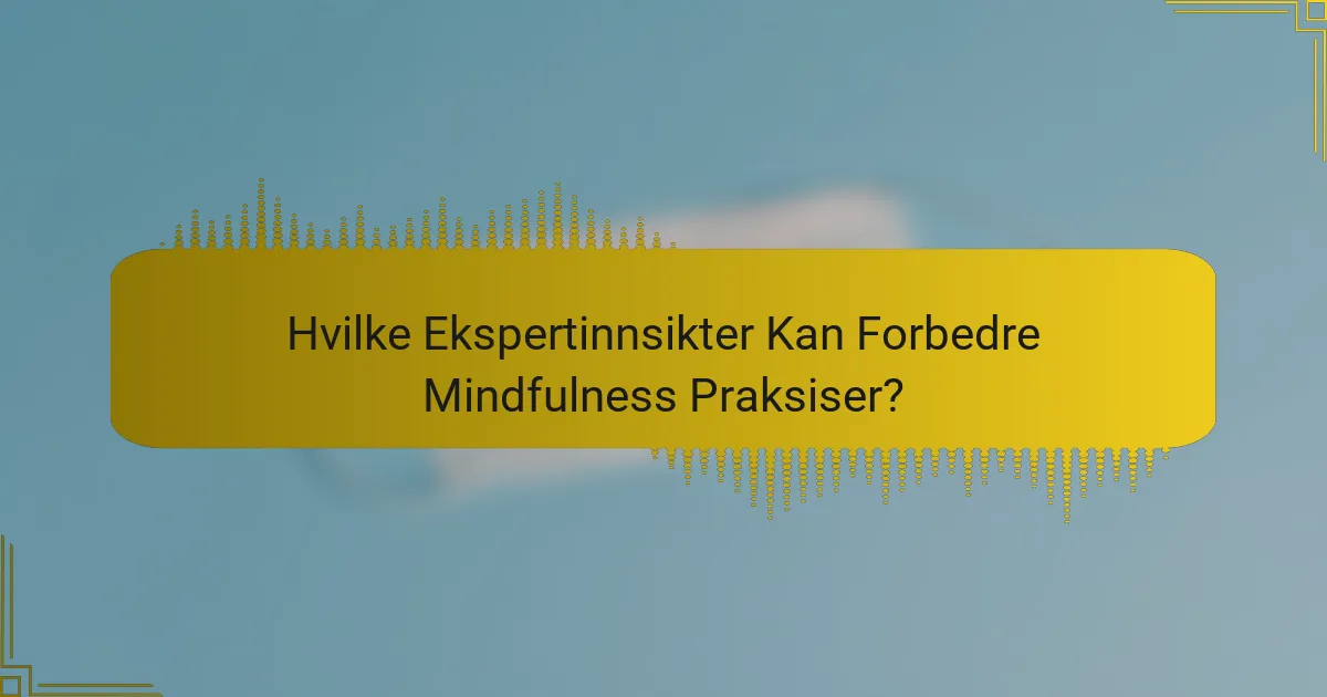 Hvilke Ekspertinnsikter Kan Forbedre Mindfulness Praksiser?