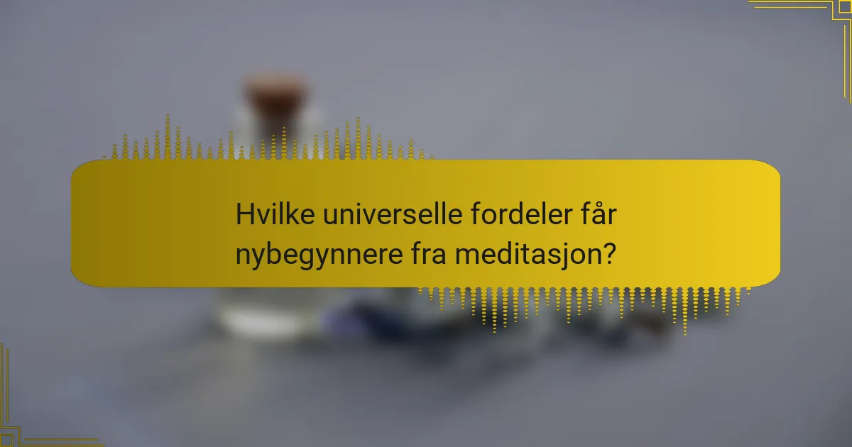 Hvilke universelle fordeler får nybegynnere fra meditasjon?